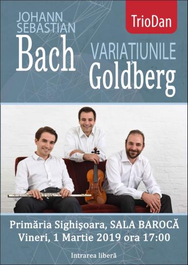 poze concert johann sebastian bach variatiunile goldberg