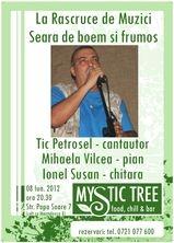 poze concert la rascruce de muzici la mystic tree