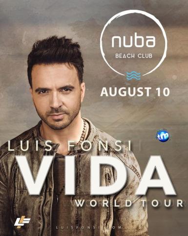 poze concert luis fonsi