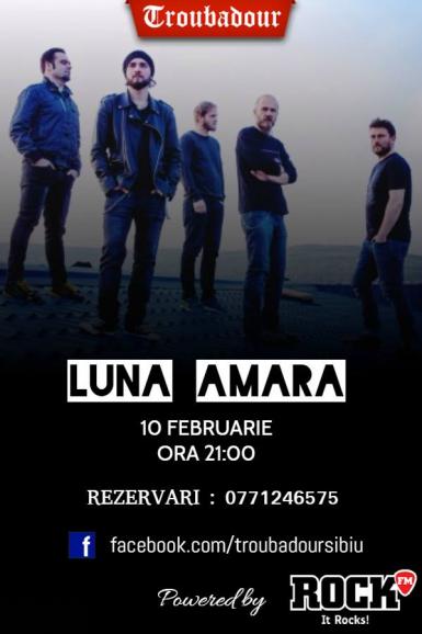 poze concert luna amara