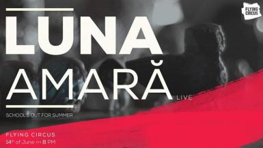 poze concert luna amara