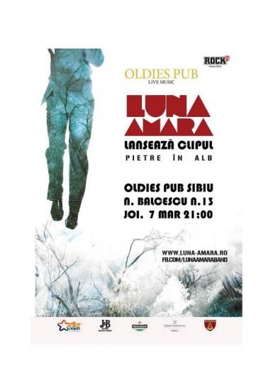 poze concert luna amara