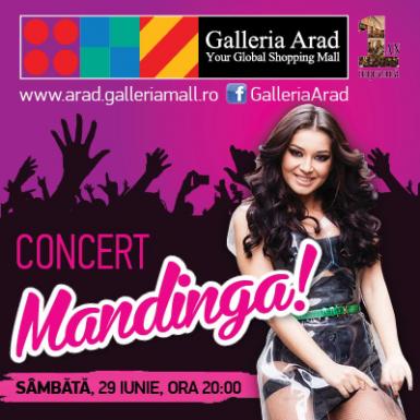 poze concert mandinga la arad