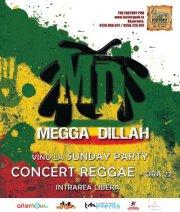 poze concert megga dillah