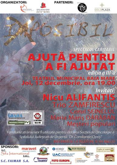 poze concert nicu alifantis la baia mare