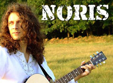 poze concert noris in timisoara