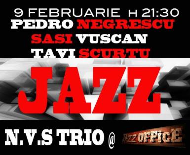 poze concert nvs trio la timisoara