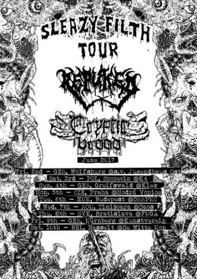 poze concert ordinul negru repuked cryptic brood 