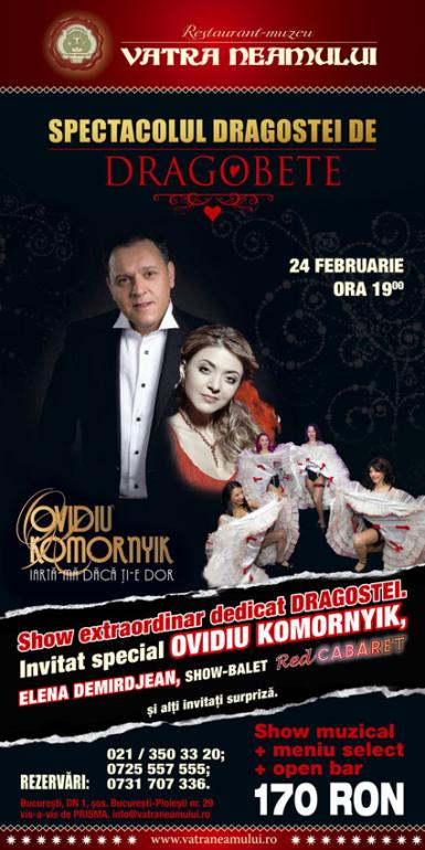 poze concert ovidiu komornyik de dragobete