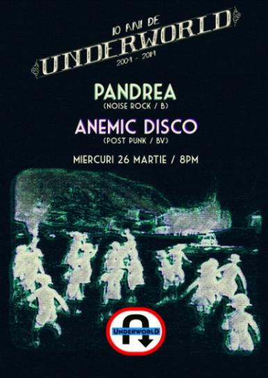 poze concert pandrea si anemic disco in club underworld