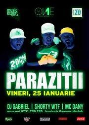 poze concert parazitii