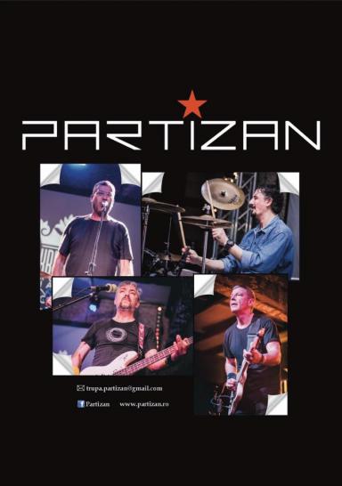 poze concert partizan