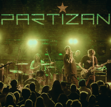 poze concert partizan