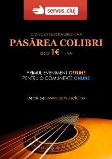 poze concert pasarea colibri cluj