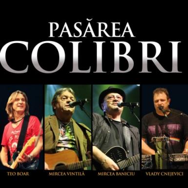 poze concert pasarea colibri la botosani in 2015