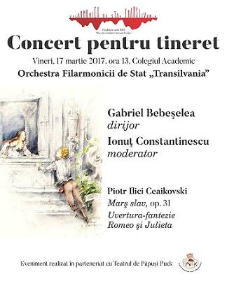 poze concert pentru tineret