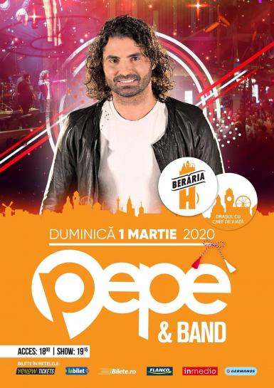 poze concert pepe band