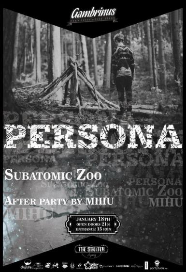 poze concert persona