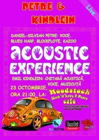 poze concert petre kindlein acoustic experience