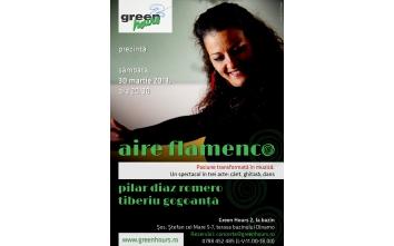 poze concert pilar diaz romero tiberiu gogoanta in green hours 2