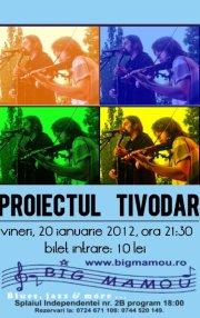 poze concert proiectul tivodar in big mamou