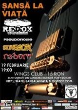 poze concert reborn redox pseudonoise si stonebox pentru matei in wings