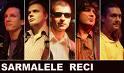poze concert sarmalele reci in club hush pitesti