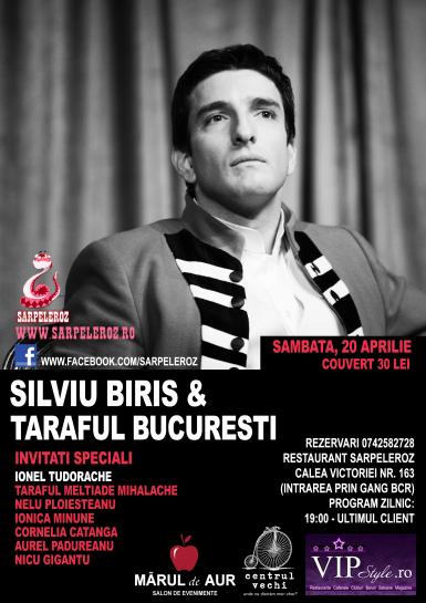 poze concert silviu biris