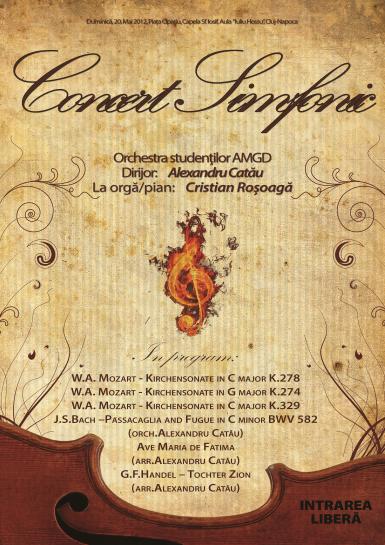 poze concert simfonic