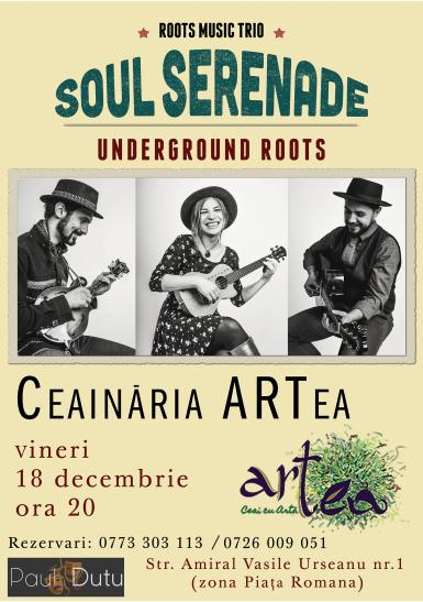 poze concert soul serenade