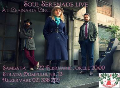 poze concert soul serenade la ceainaria cinci