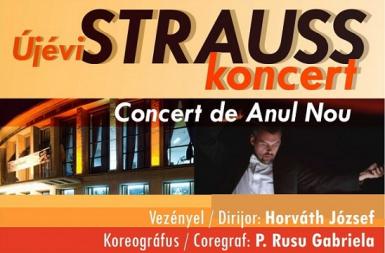 poze concert strauss de anul nou