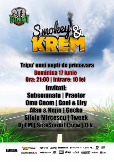 poze concert subsemnatu si invitatii in club elephant