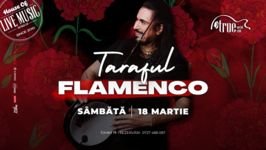 poze concert taraful flamenco