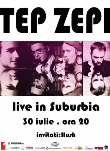 poze concert tep zepi