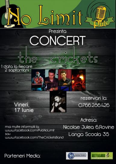 poze concert the crickets craiova