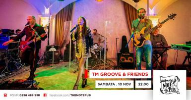 poze concert tm groove friends