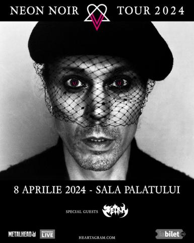poze concert ville valo
