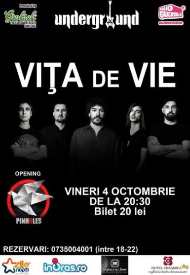 poze concert vita de vie in underground pub