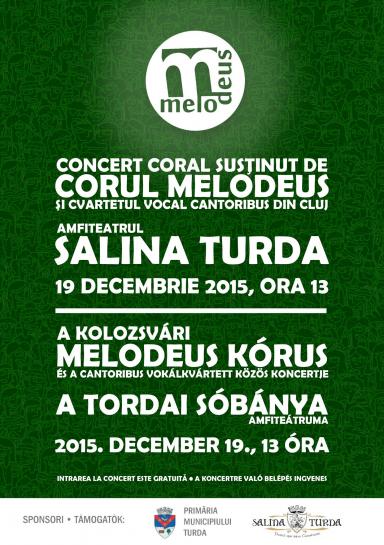 poze concert extraordinar salina turda