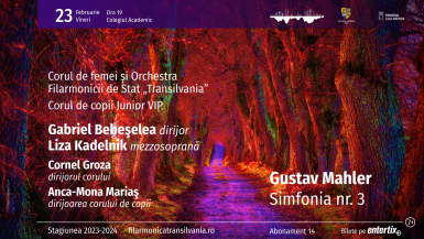 poze concert vocal simfonic