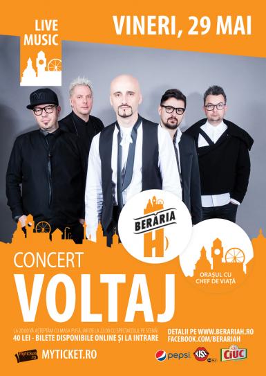 poze concert voltaj