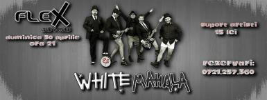 poze concert white mahala