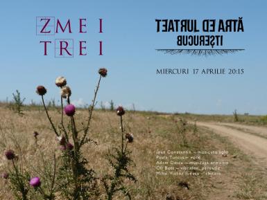 poze concert zmei trei la teatrul de arta