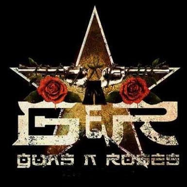 poze concertul guns n roses din bucuresti a fost confirmat