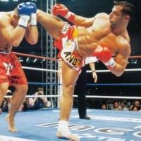 poze concurs de arte martiale si kickboxing la pitesti