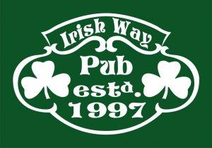 poze concurs de darts in irish way pub