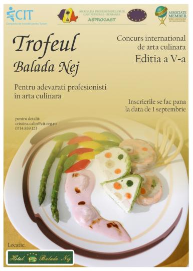 poze concursul international de arta culinara trofeul balada nej nej 