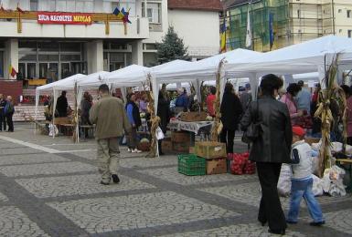 poze concursuri de ziua recoltei