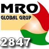 poze conferinta mro global grup